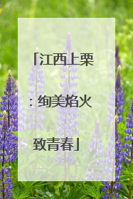 江西上栗：绚美焰火致青春