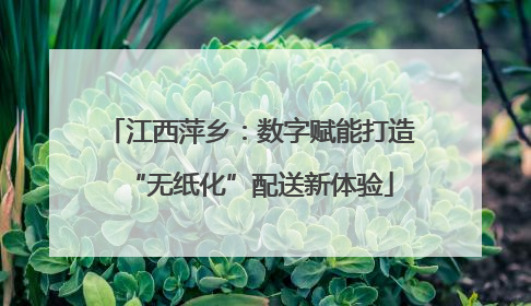 江西萍乡：数字赋能打造“无纸化”配送新体验