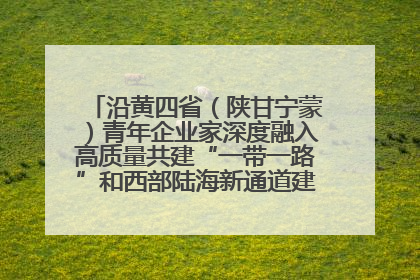 沿黄四省（陕甘宁蒙）青年企业家深度融入高质量共建“一带一路”和西部陆海新通道建设战略合作交流会在甘肃兰州召开