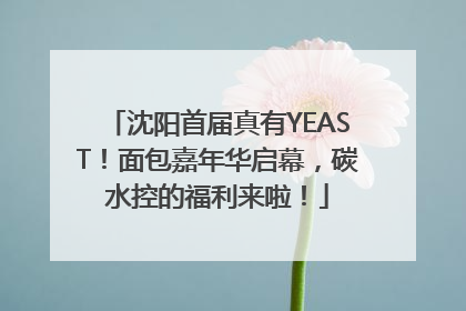 沈阳首届真有YEAST！面包嘉年华启幕，碳水控的福利来啦！
