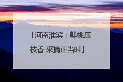 河南淮滨：鲜桃压枝香 采摘正当时