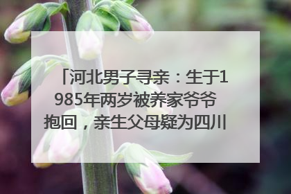 河北男子寻亲：生于1985年两岁被养家爷爷抱回，亲生父母疑为四川仪陇人｜红星寻人