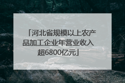 河北省规模以上农产品加工企业年营业收入超6800亿元