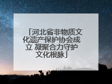 河北省非物质文化遗产保护协会成立 凝聚合力守护文化根脉
