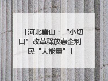 河北唐山：“小切口”改革释放惠企利民“大能量”