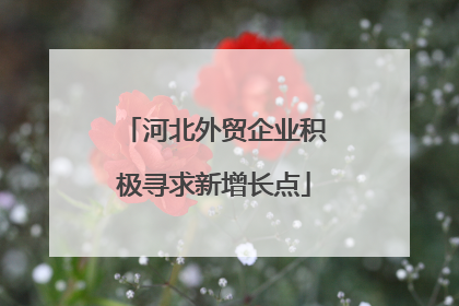 河北外贸企业积极寻求新增长点