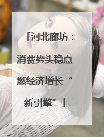 河北廊坊：消费势头稳点燃经济增长“新引擎”