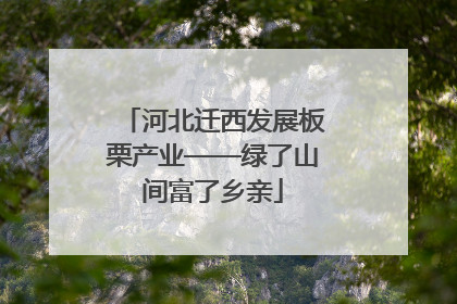 河北迁西发展板栗产业——绿了山间富了乡亲