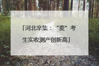 河北辛集：“麦”考生实收测产创新高