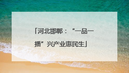 河北邯郸：“一品一播”兴产业惠民生
