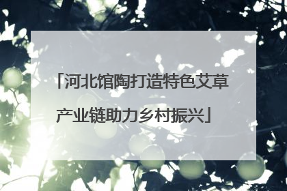 河北馆陶打造特色艾草产业链助力乡村振兴