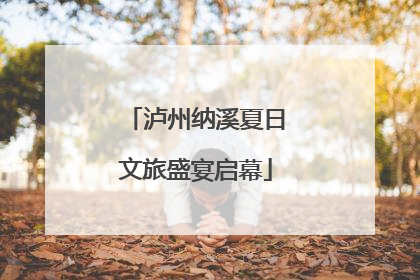 泸州纳溪夏日文旅盛宴启幕
