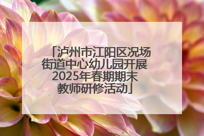 泸州市江阳区况场街道中心幼儿园开展2025年春期期末教师研修活动