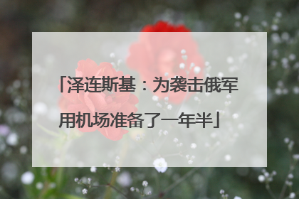 泽连斯基：为袭击俄军用机场准备了一年半