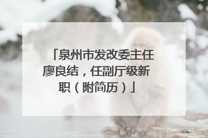 泉州市发改委主任廖良结，任副厅级新职（附简历）