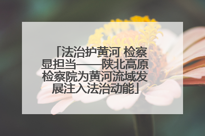 法治护黄河 检察显担当——陕北高原检察院为黄河流域发展注入法治动能
