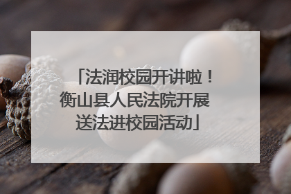 法润校园开讲啦！衡山县人民法院开展 送法进校园活动