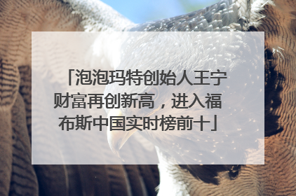 泡泡玛特创始人王宁财富再创新高，进入福布斯中国实时榜前十