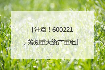 注意！600221，筹划重大资产重组