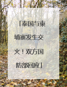 泰国与柬埔寨发生交火！双方国防部回应