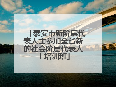 泰安市新阶层代表人士参加全省新的社会阶层代表人士培训班