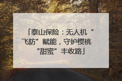 泰山保险：无人机“飞防”赋能，守护樱桃“甜蜜”丰收路