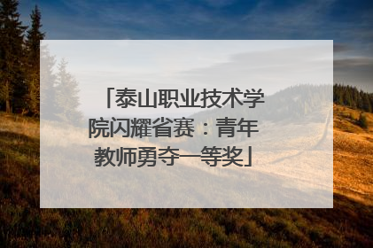 泰山职业技术学院闪耀省赛：青年教师勇夺一等奖