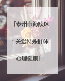 泰州市海陵区：关爱特殊群体心理健康