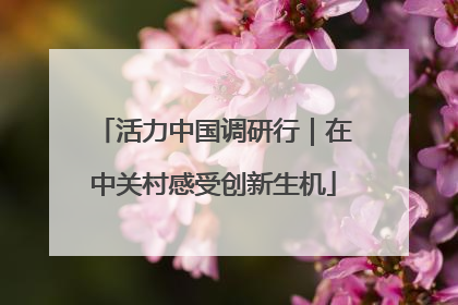 活力中国调研行｜在中关村感受创新生机