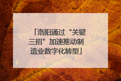 洛阳通过“关键三招”加速推动制造业数字化转型