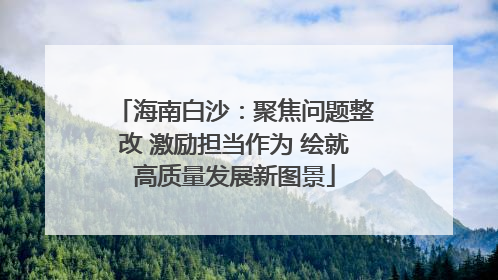 海南白沙：聚焦问题整改 激励担当作为 绘就高质量发展新图景