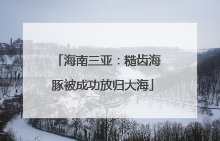 海南三亚：糙齿海豚被成功放归大海
