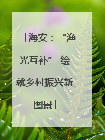海安：“渔光互补” 绘就乡村振兴新图景