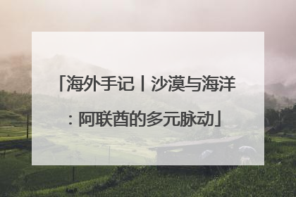 海外手记丨沙漠与海洋：阿联酋的多元脉动