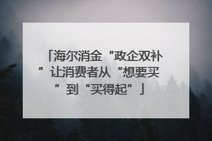 海尔消金“政企双补”让消费者从“想要买”到“买得起”