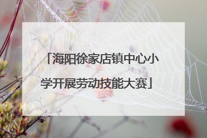 海阳徐家店镇中心小学开展劳动技能大赛