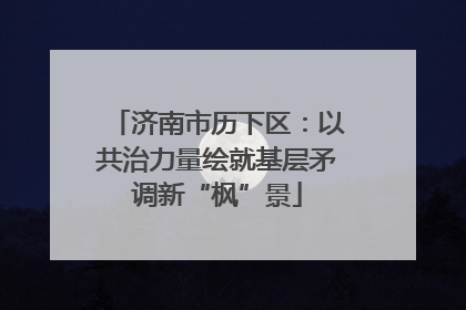 济南市历下区：以共治力量绘就基层矛调新“枫”景