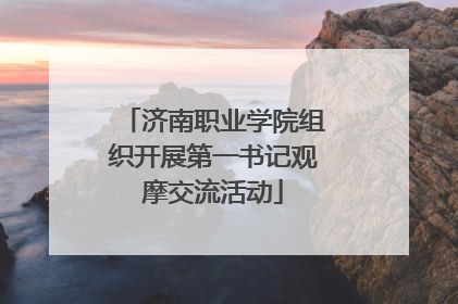 济南职业学院组织开展第一书记观摩交流活动