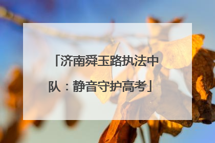 济南舜玉路执法中队：静音守护高考