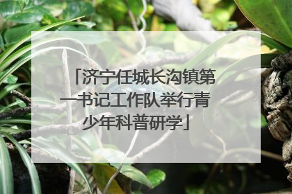 济宁任城长沟镇第一书记工作队举行青少年科普研学