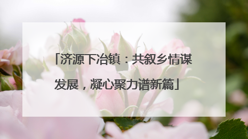 济源下冶镇：共叙乡情谋发展，凝心聚力谱新篇
