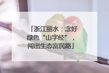 浙江丽水：念好绿色“山字经”，闯出生态富民路