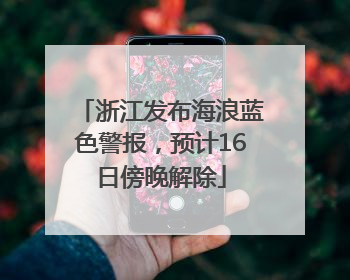 浙江发布海浪蓝色警报，预计16日傍晚解除