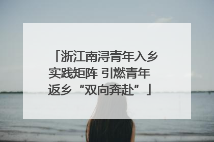 浙江南浔青年入乡实践矩阵 引燃青年返乡“双向奔赴”