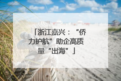 浙江嘉兴：“侨力护航”助企高质量“出海”