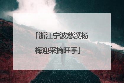 浙江宁波慈溪杨梅迎采摘旺季