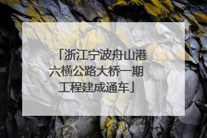 浙江宁波舟山港六横公路大桥一期工程建成通车