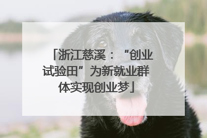 浙江慈溪：“创业试验田”为新就业群体实现创业梦