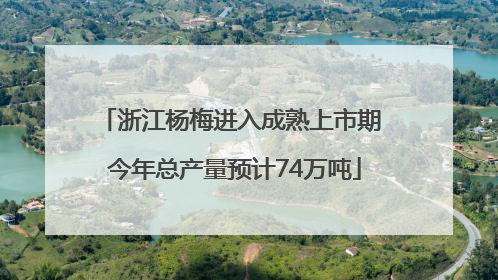 浙江杨梅进入成熟上市期 今年总产量预计74万吨