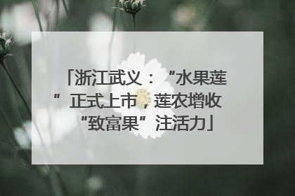 浙江武义：“水果莲”正式上市，莲农增收“致富果”注活力